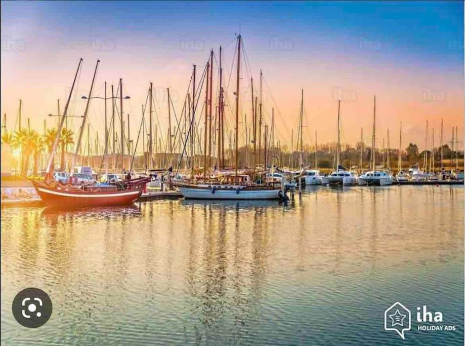 Coquet Appartement Canet-en-Roussillon Εξωτερικό φωτογραφία
